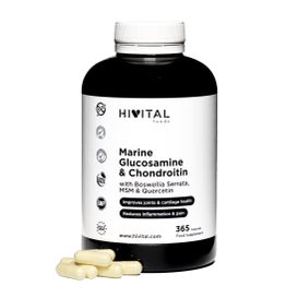 Hivital Foods Glucosamine with Chondroitin 365caps