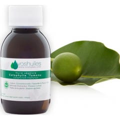 Voshuiles Calophyll Vegetable Oil (Tamanu) 100ml