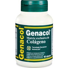 Synphonat Genacol 90 Perlas