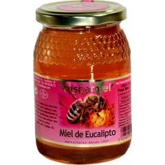 Hispamiel Eukalyptus Honig 500g