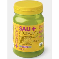 Watt Sali+ Electrolyte Energizzante Limone 500g