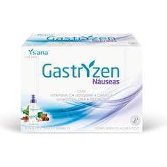 Ysana Gastryzen Digest 10 Fläschchen