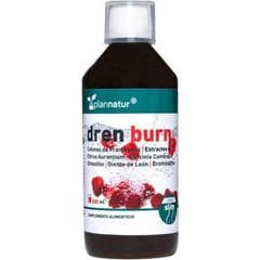 Plannatur Dren Brun Hindbær 500ml