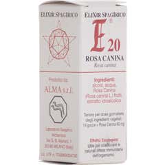 E20 Rosa Canina 10M