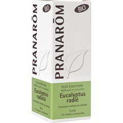 PranarÌm essential oil of eucalyptus radiata BIO 10ml