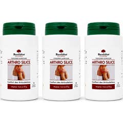 Exceldiet Pharma Arthrosilice 360 Capsule