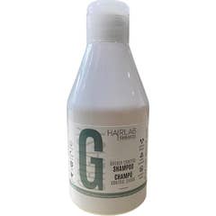 Salerm Hair Lab Greasy Control Shampoo 300 ml