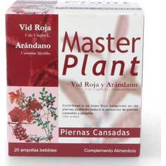 Master Plant Vid Roja Arandano 20 Ampollas