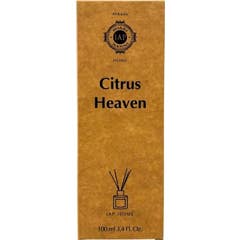 Iap Pharma Mikado Aroma Citrus Heaven 100 ml