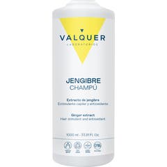Valquer Shampoo Ginger Strong 1000ml