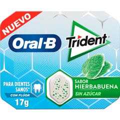 Oral B Trident Peppermint Chewing Gum 10 pieces