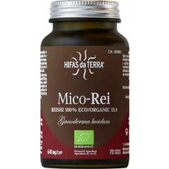 Hyphae Da Terra Antioxidant Mico Rei 640mg 70caps