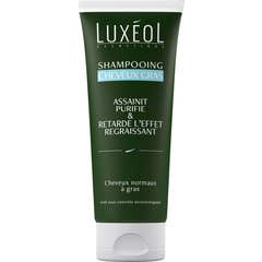 Luxéol Champú Cabello Graso 200 ml