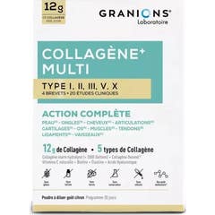 Granions Colágeno Multi Tipo I-II-III-V-X 260g