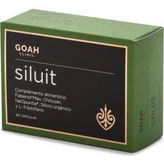 Goah Clinic Siluit 60caps Goah Clinic Siluit 60caps