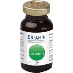 Driatec Driamin Molibdeno 10x15ml