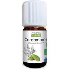 Propos Nature Bio Ätherisches Öl Kardamom 5ml