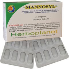 Mannosyl New 24Cpr