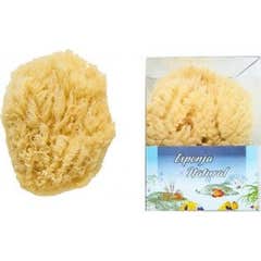 Koronis Acuario esponja natural bebé