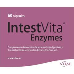 Vitae IntestVita Enzymes 60caps