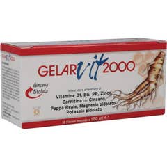 Gelar Farma Gelarvit 2000 12F 10ml