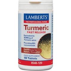 Turmeric Quick Release Lamberts 120 Tabs