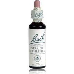 Bach Estrella de Belén Nø 29 20Ml