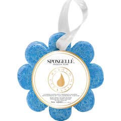 Spongellé Freesia Pear Daisy Flower Collection Esponja de Baño 85 gr