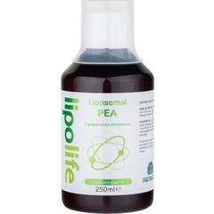 Lipolife Liposomal Pea 250ml