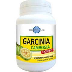Bodyline garcinia Cambogia Forte 60 caps