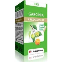Arkogelules Garcinia Glules 45° Bottiglia Garcinia Glules 45