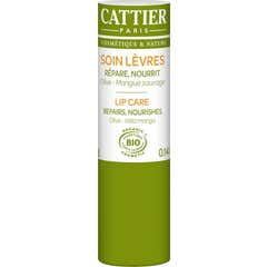 Cattier Blsamo Cuidado de Labios 4g Cattier Blsamo Cuidado de Labios 4g