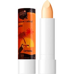 Real Natura Urucum Batom Labial