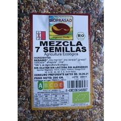 Bioprasad Miscela Semi Senza Glutine Bio 250g