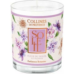 Collines de Provence Duftkerze Blüte der Sonne 180 g