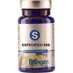 Erlingen Specific 95B 60comp