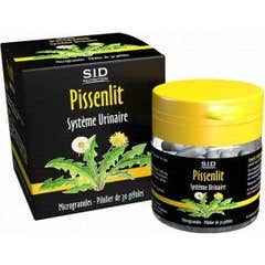 Diente de León Sidn gelu Bt30