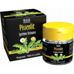 Sidn Dandelion Gelu Bt30