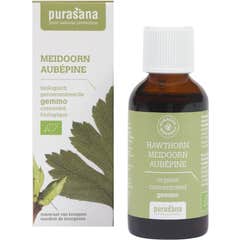 Purasana Espino Gemoterapia 50ml