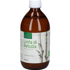 Ligne De Plantes Linfa di Betulla Bio 500ml