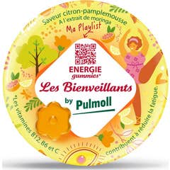 Les Bienveillants Energía Gummies 42uds