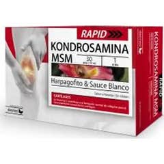 DietMed Kondrosamine Msm Rapid 30 Ampullen DietMed Kondrosamine Msm Rapid 30 Ampullen