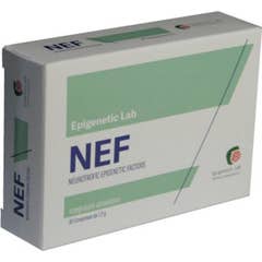 Energetic Lab NEF 30comp