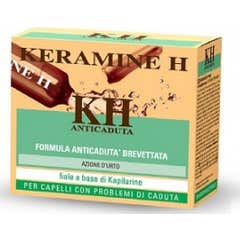 Keramine H Fiale Anticaduta 12 Fiale da 6 ml