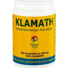 Verde Fiammeggiante Klamath 500 Mg 120 Compresse