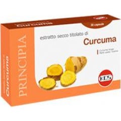 CURCUMA ESTRATTO SECCO 30CPS