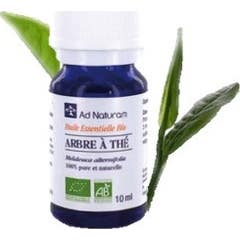 Aromaya He Eukalyptus Globulus 10mL Aromaya He Eukalyptus Globulus 10mL