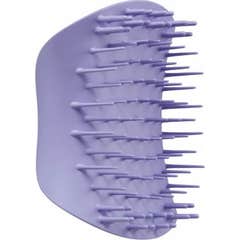 Tangle Teezer Scalp Brushes Purple 1ud Tangle Teezer Scalp Brushes Purple 1ud