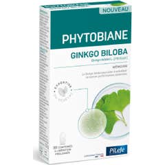 Phytobiane Ginkgo Biloba 30comp