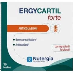 Laboratori Nutergia Ergycartil Forte 16 Sobres